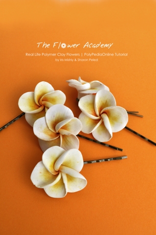 Polymer Clay Flowers Project One – Tejana Made